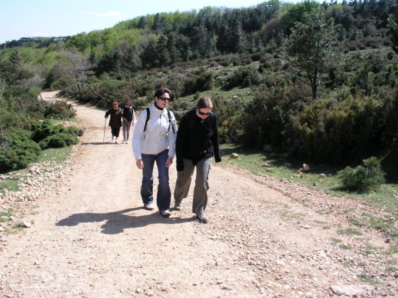 Cousinade 2006