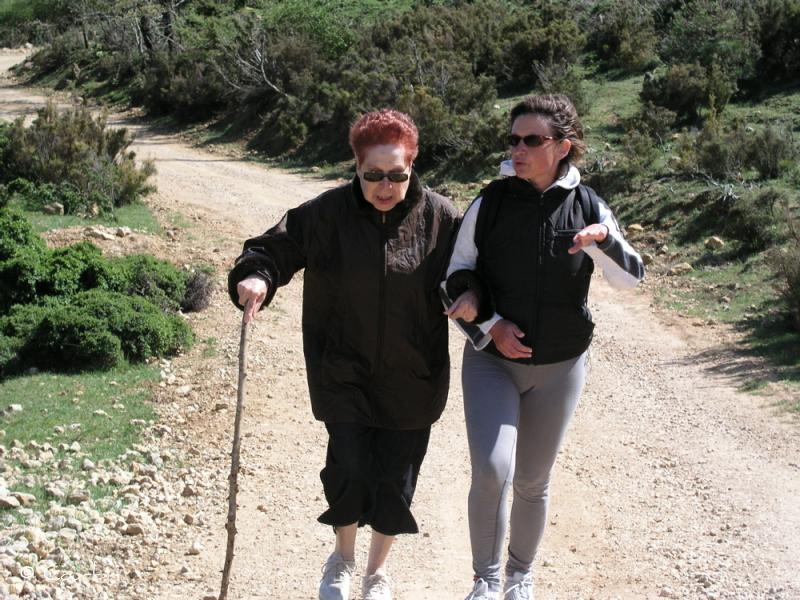 Cousinade 2006