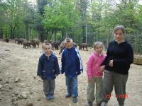 Cousinade 2006